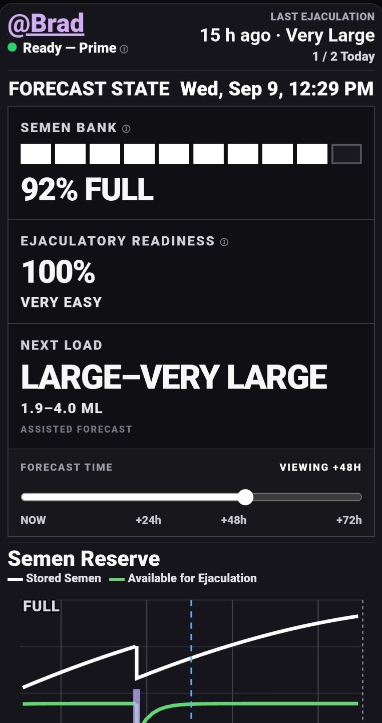 LiveLoad forecast 27 hours in the future